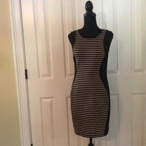 ENFOCUS Studio Dress Beige snd Black Stripe Size 6